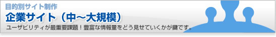 企業サイト(大規模)