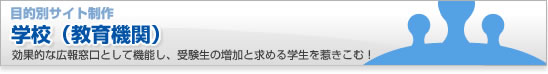 企業サイト(大規模)